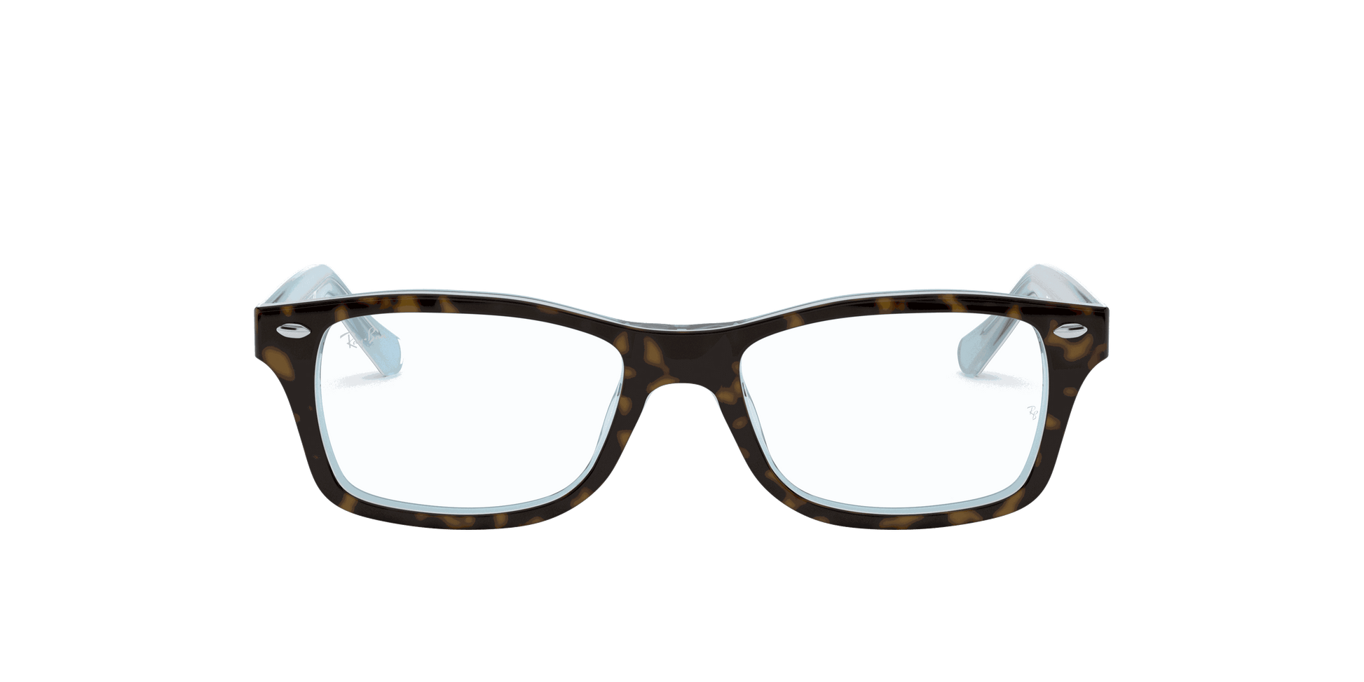 [Clear Lenses, Polished Havana Frame]