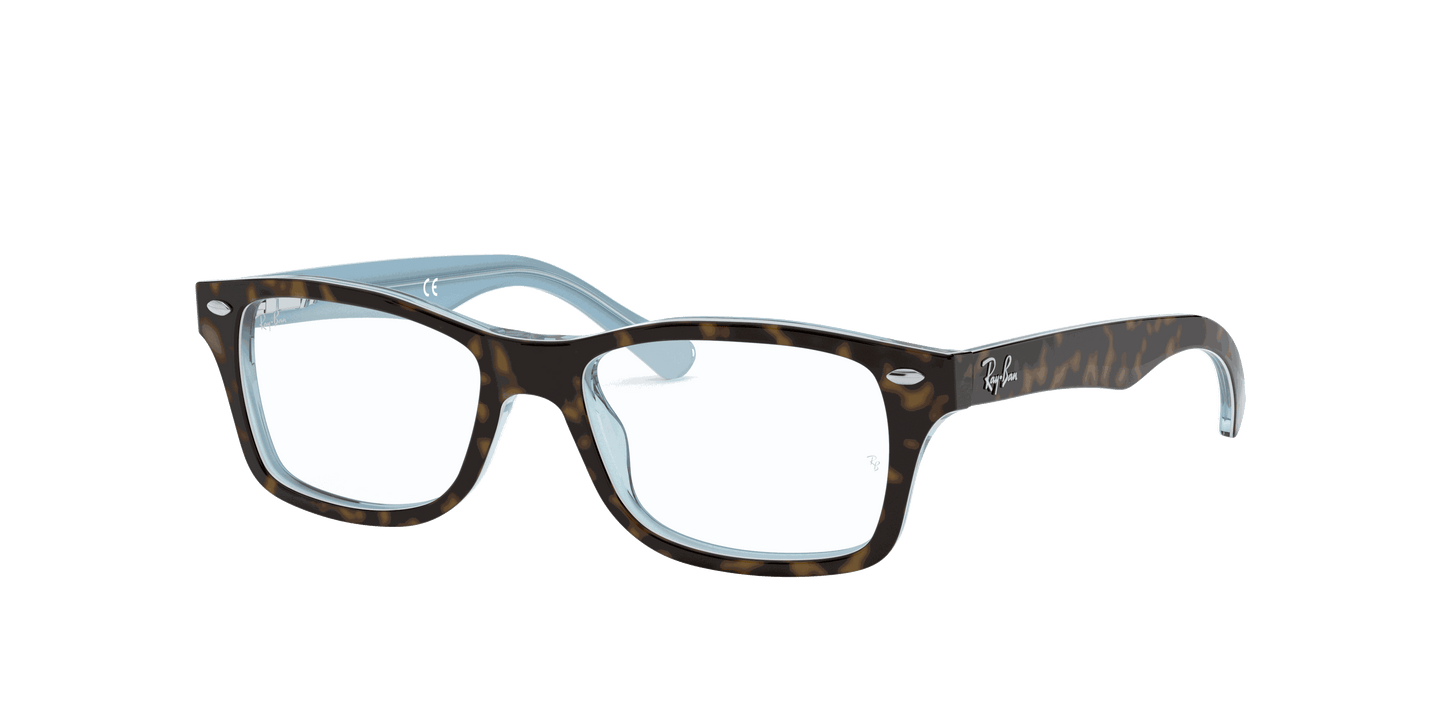 [Clear Lenses, Polished Havana Frame]