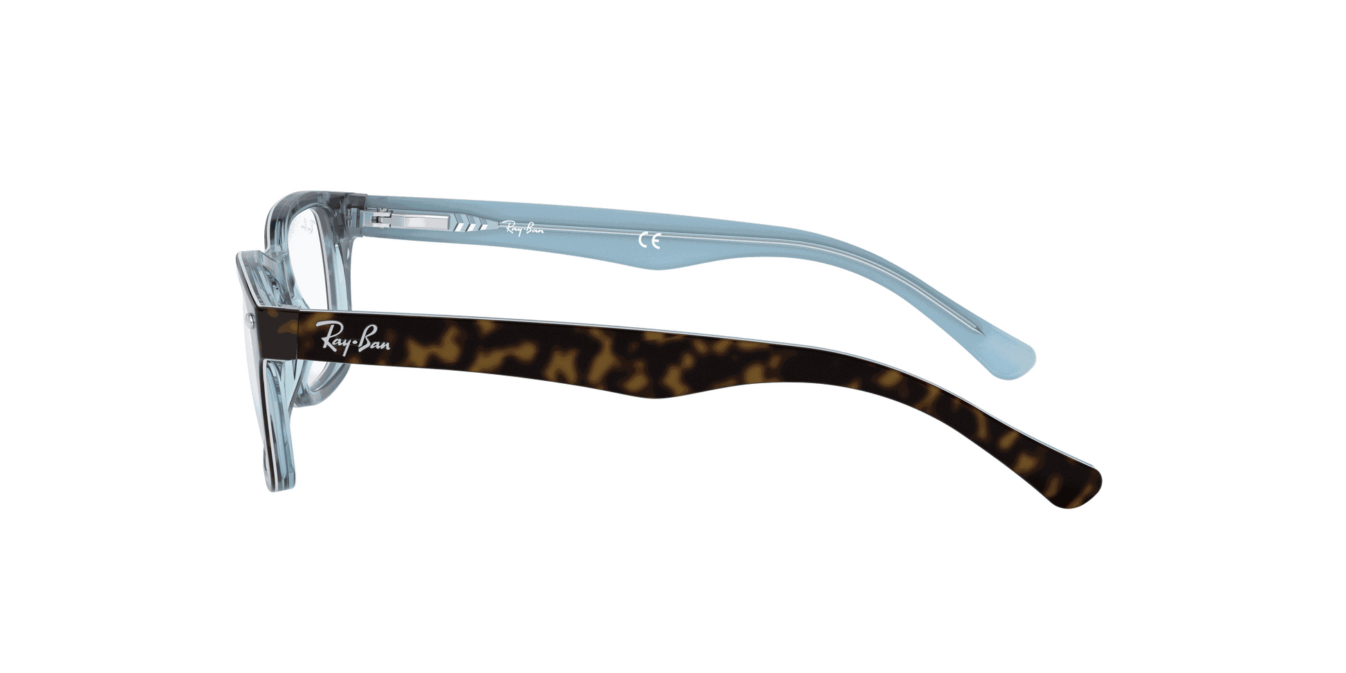 [Clear Lenses, Polished Havana Frame]