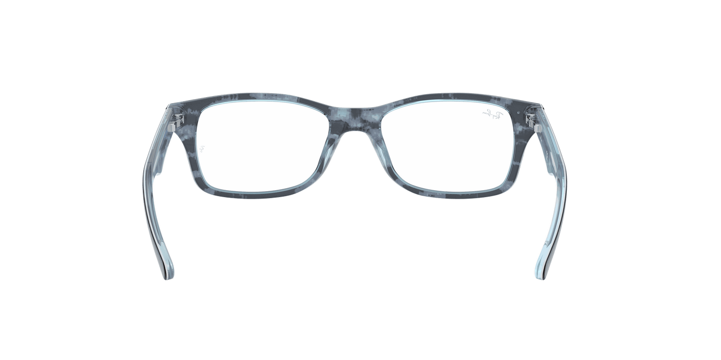[Clear Lenses, Polished Havana Frame]