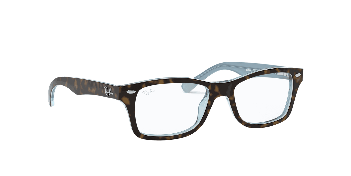 [Clear Lenses, Polished Havana Frame]