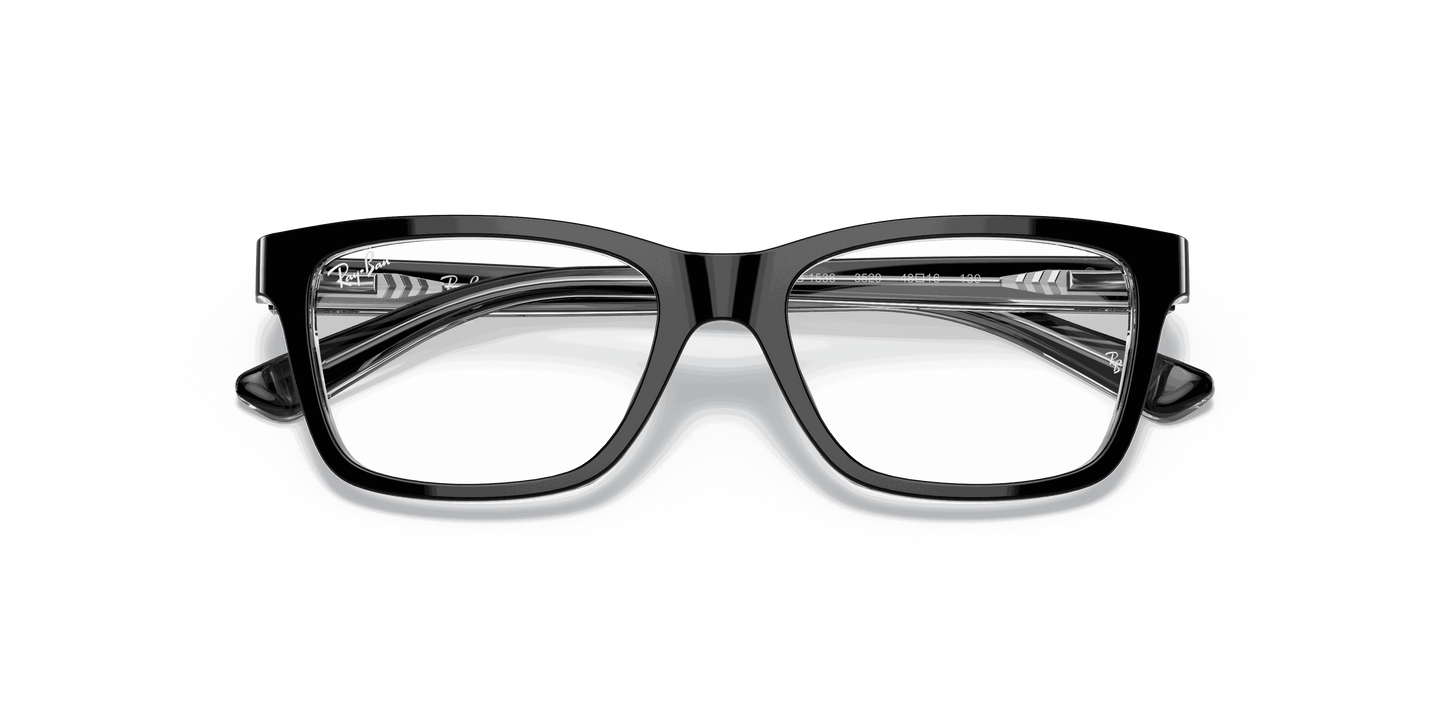 [Clear Lenses, Polished Black On Transparent Frame]