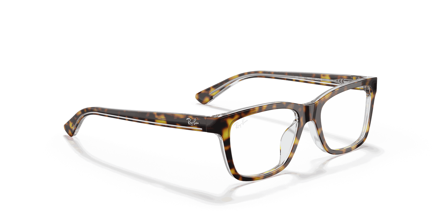 [Clear Lenses, Polished Dark Havana Frame]