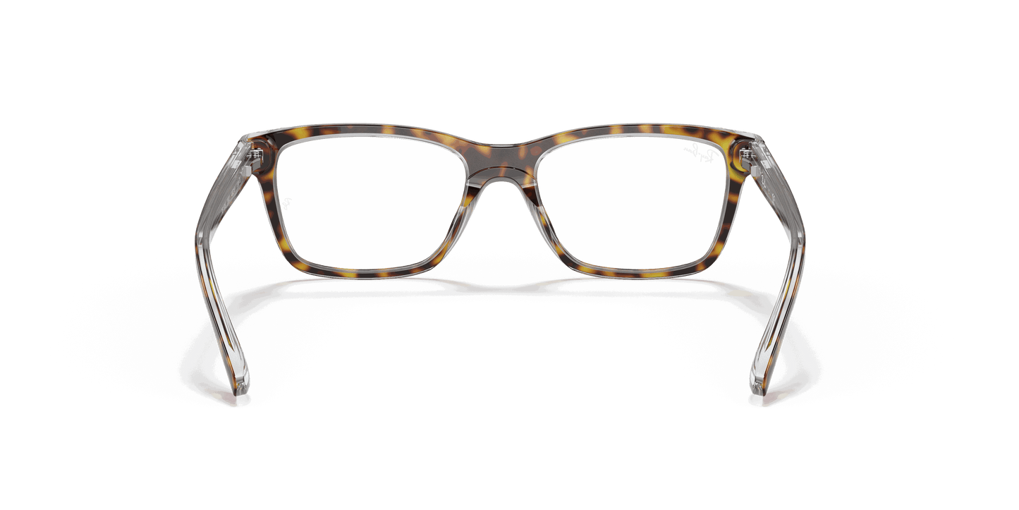 [Clear Lenses, Polished Dark Havana Frame]