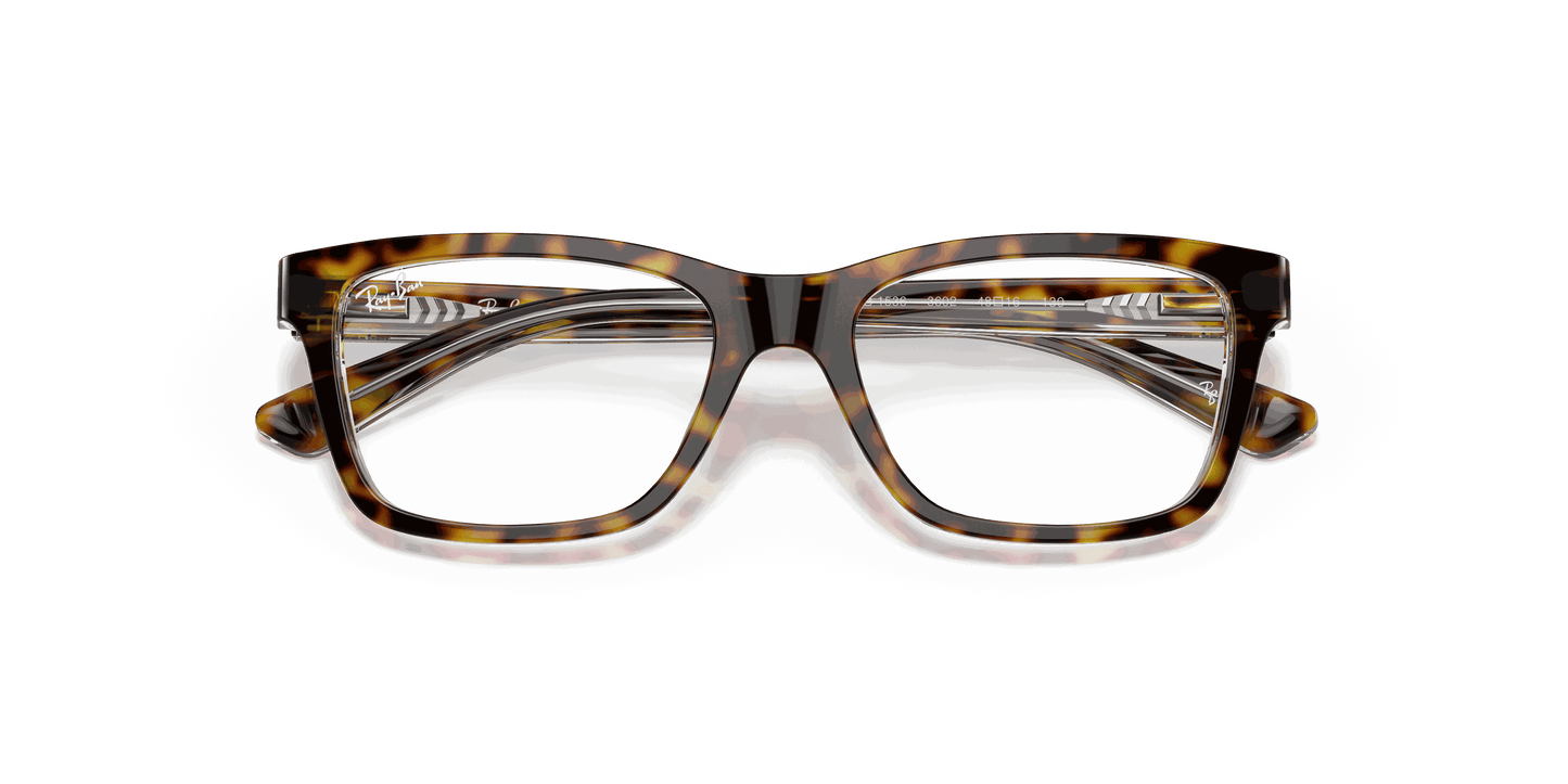 [Clear Lenses, Polished Dark Havana Frame]