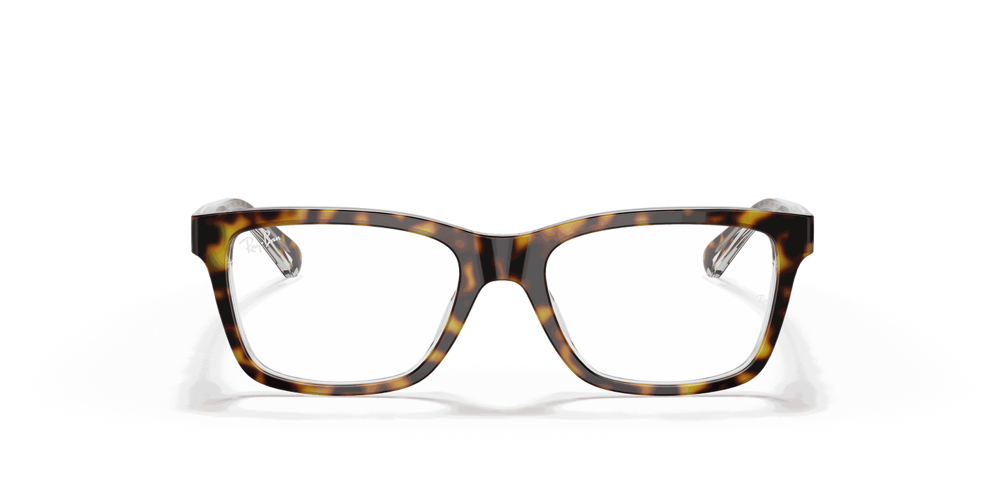 [Clear Lenses, Polished Dark Havana Frame]