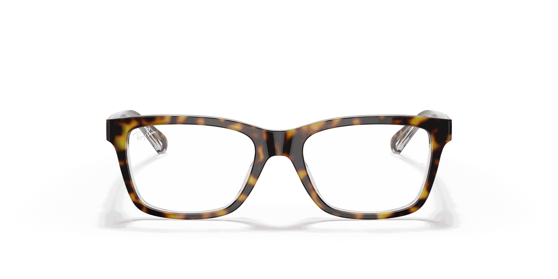 [Clear Lenses, Polished Dark Havana Frame]