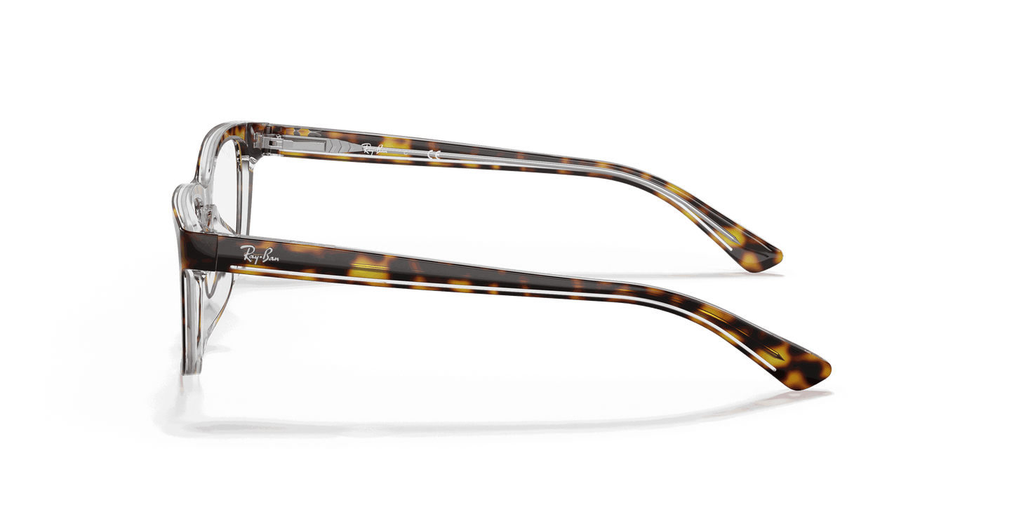 [Clear Lenses, Polished Dark Havana Frame]