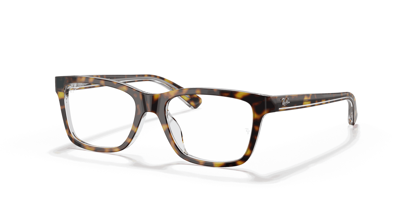 [Clear Lenses, Polished Dark Havana Frame]