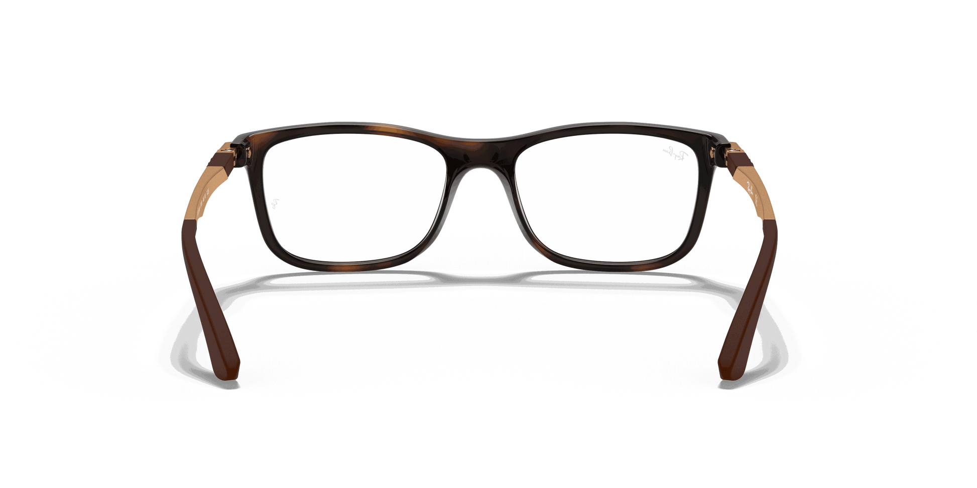 [Clear Lenses, Polished Havana Frame]
