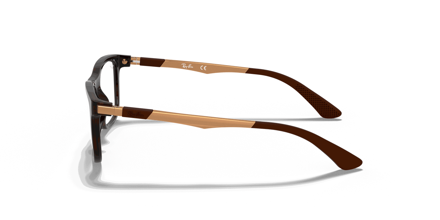[Clear Lenses, Polished Havana Frame]