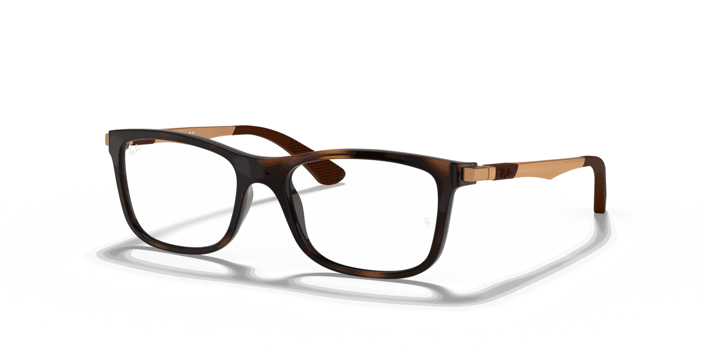 [Clear Lenses, Polished Havana Frame]