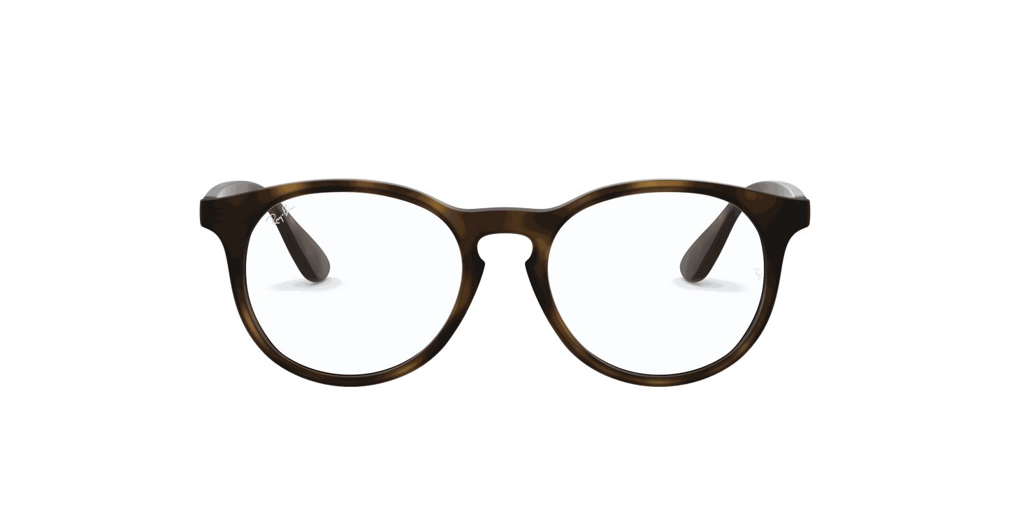 [Clear Lenses, Matte Havana Frame]