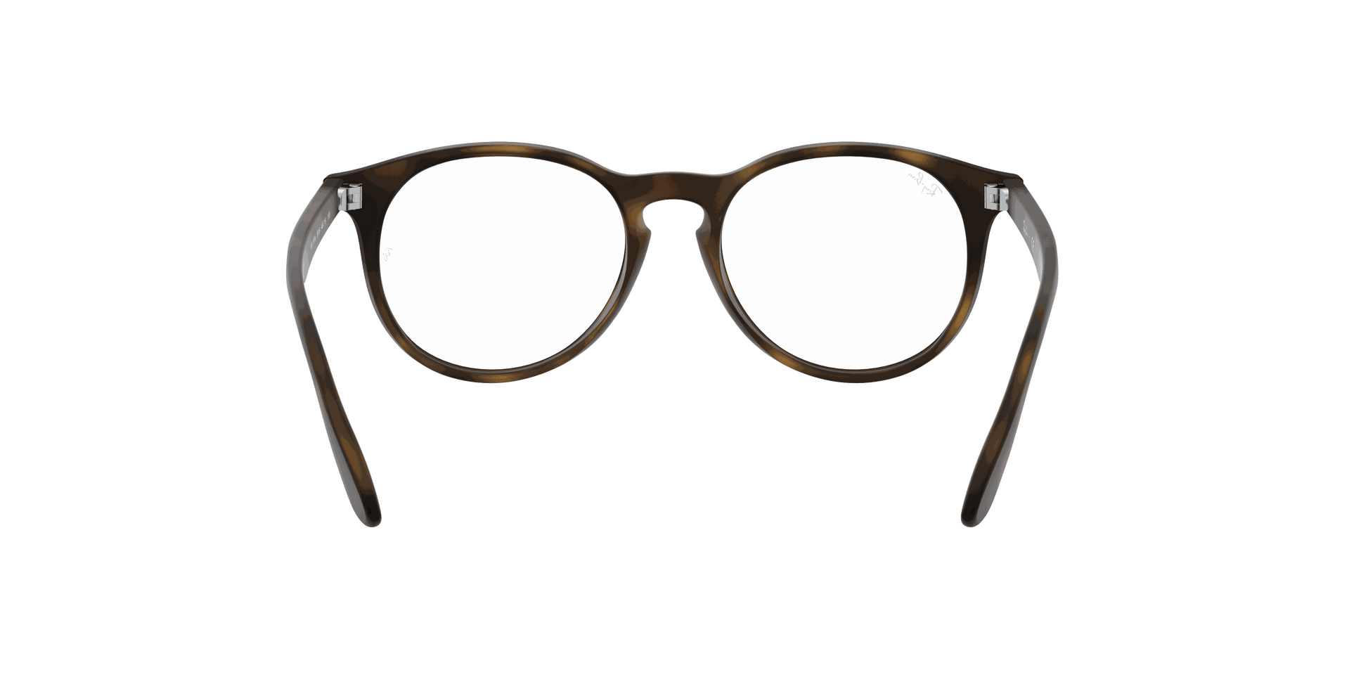 [Clear Lenses, Matte Havana Frame]