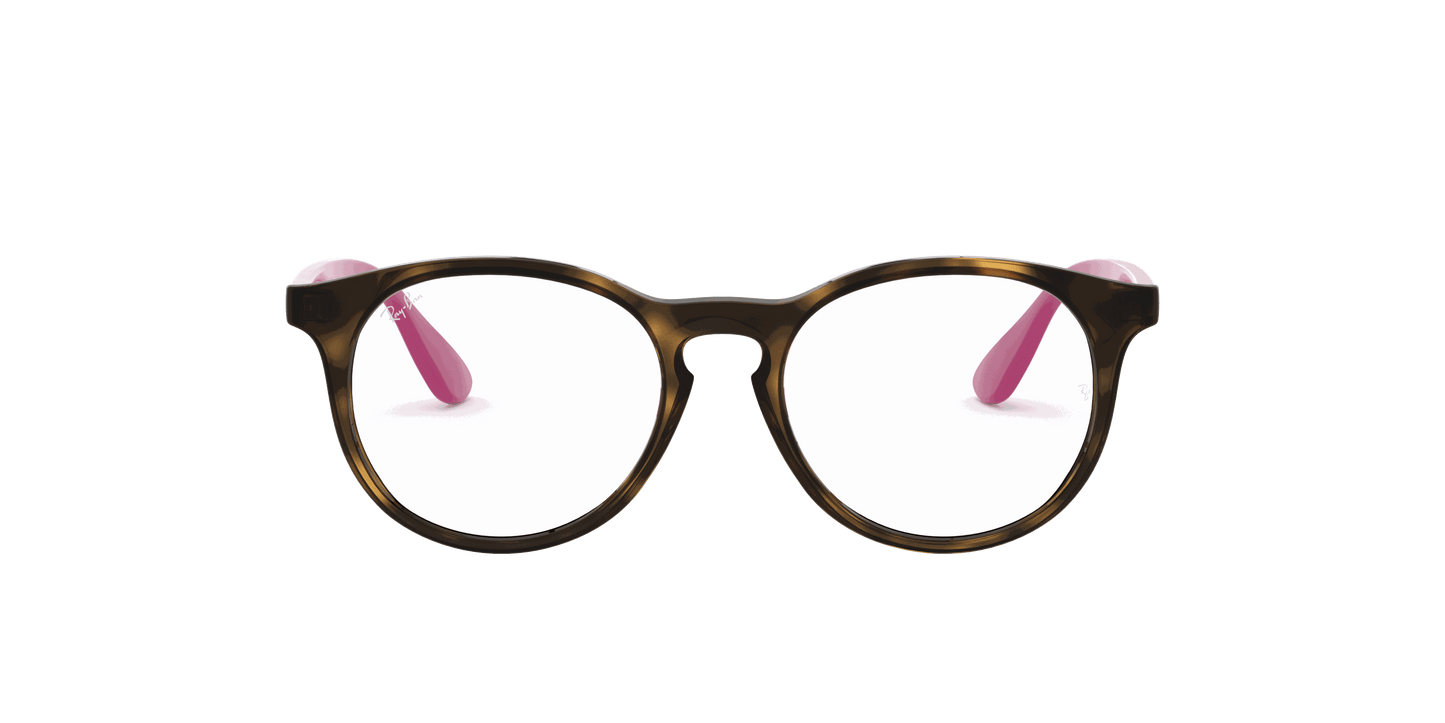 [Clear Lenses, Polished Havana Frame]