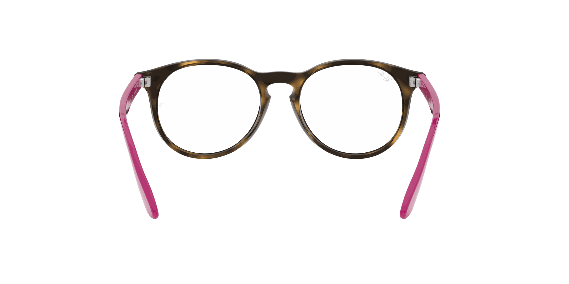 [Clear Lenses, Polished Havana Frame]