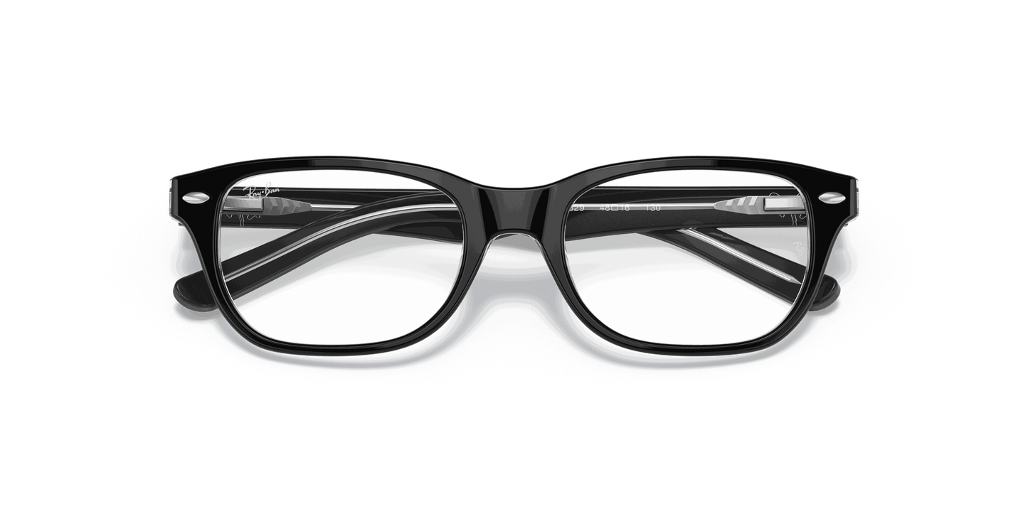 [Clear Lenses, Polished Black On Transparent Frame]