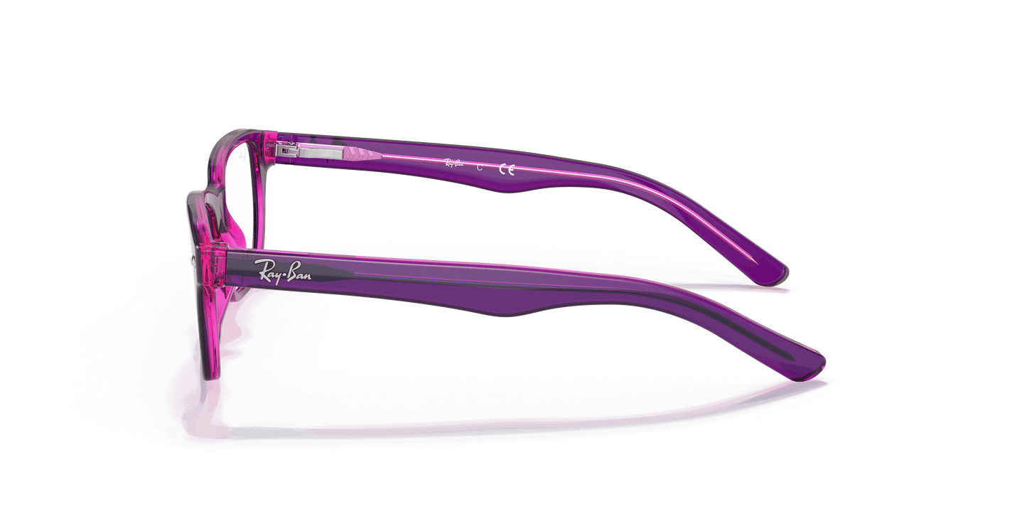 [Clear Lenses, Polished Violet On Fuxia Fluo Frame]