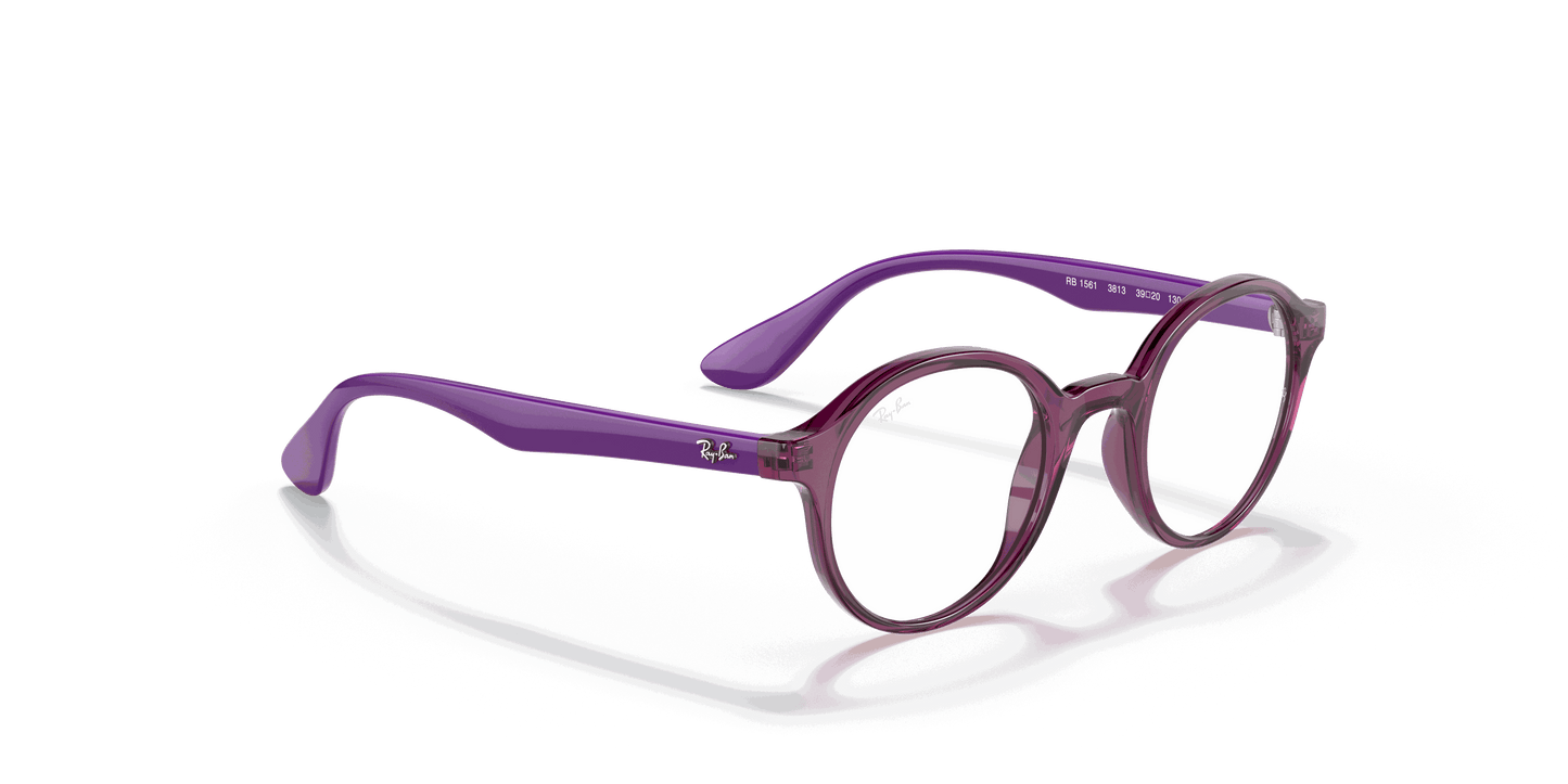 [Clear Lenses, Polished Transparent Fuxia Frame]