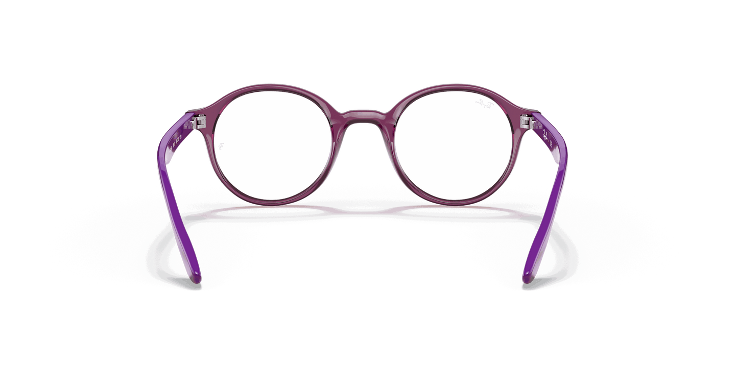 [Clear Lenses, Polished Transparent Fuxia Frame]