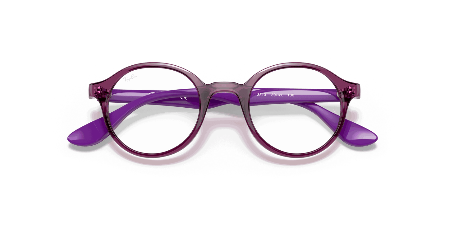 [Clear Lenses, Polished Transparent Fuxia Frame]
