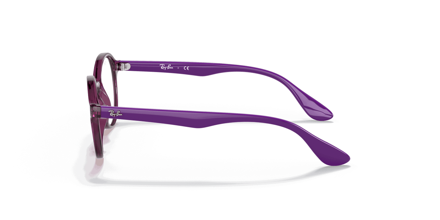 [Clear Lenses, Polished Transparent Fuxia Frame]