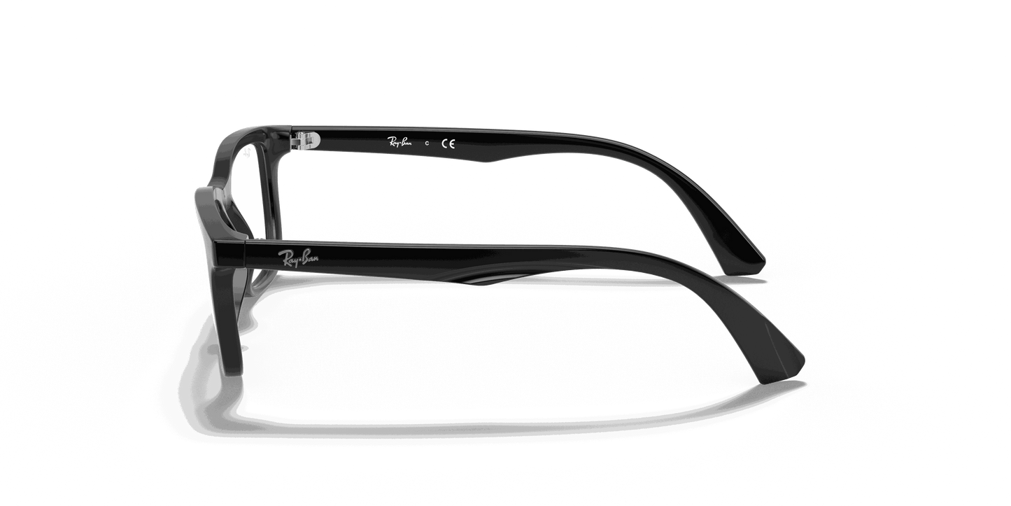 [Clear Lenses, Polished Black Frame]