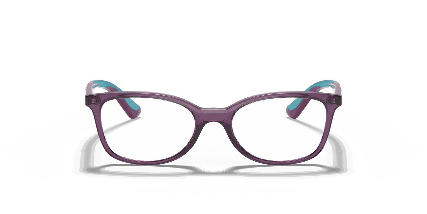 [Clear Lenses, Polished Transparent Violet Frame]