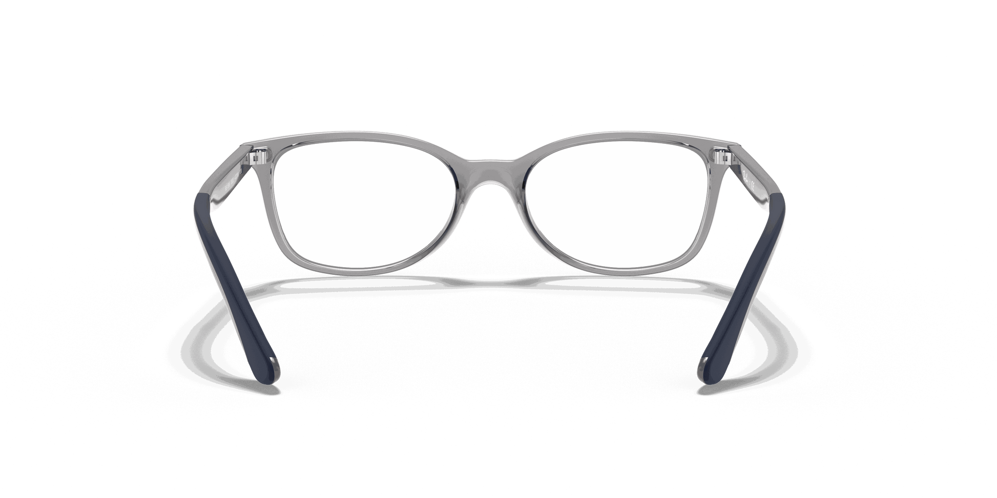 [Clear Lenses, Polished Transparent Grey Frame]