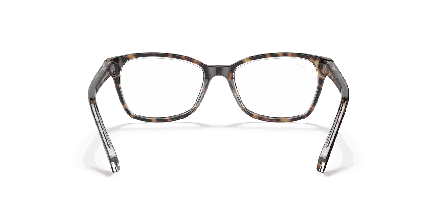 [Clear Lenses, Polished Havana On Transparent Frame]
