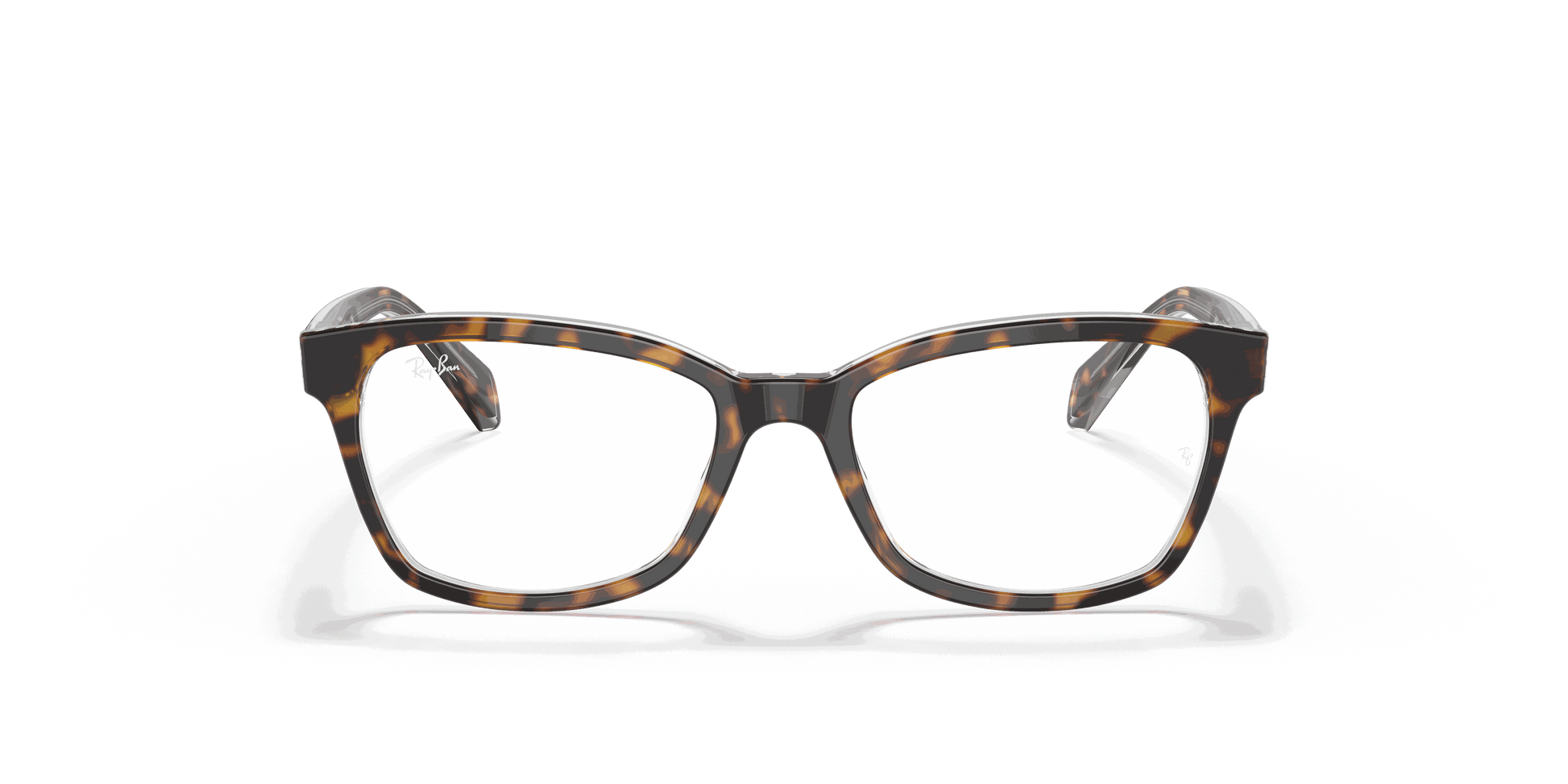 [Clear Lenses, Polished Havana On Transparent Frame]