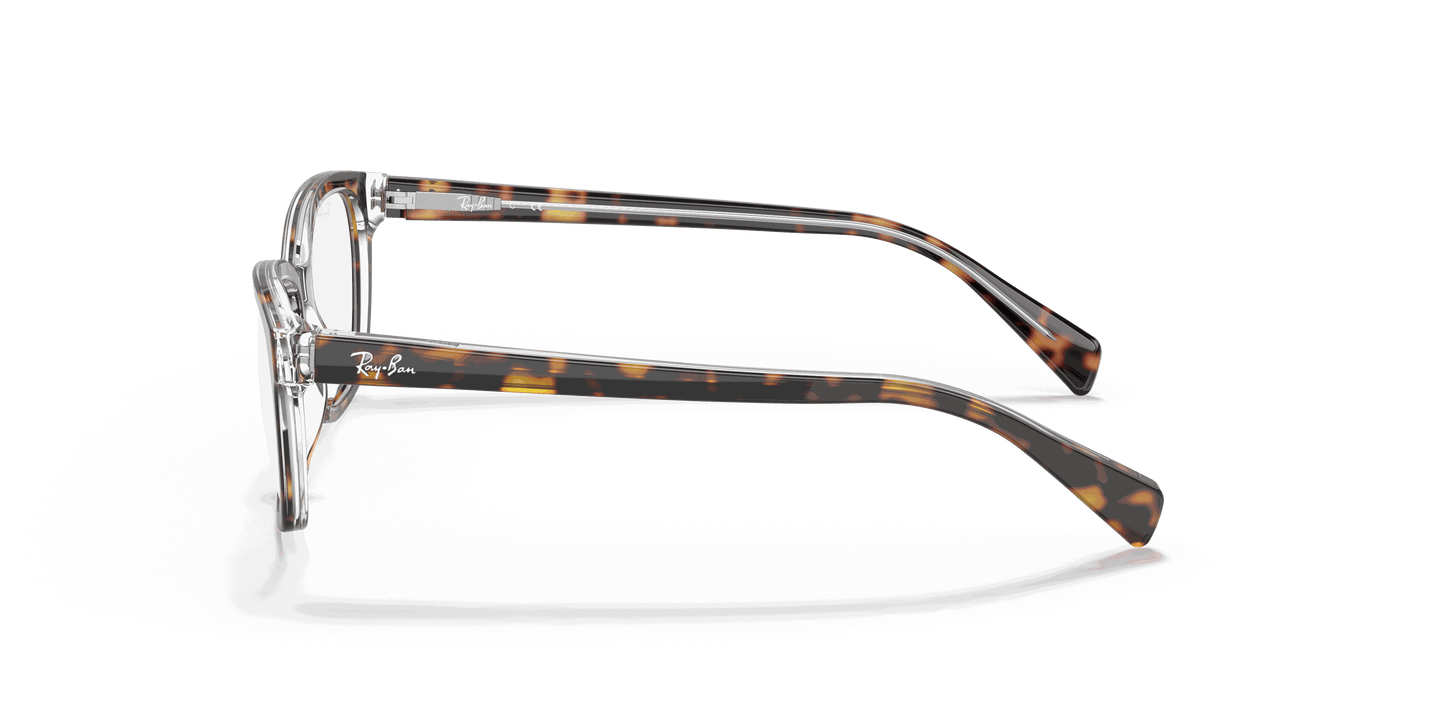 [Clear Lenses, Polished Havana On Transparent Frame]