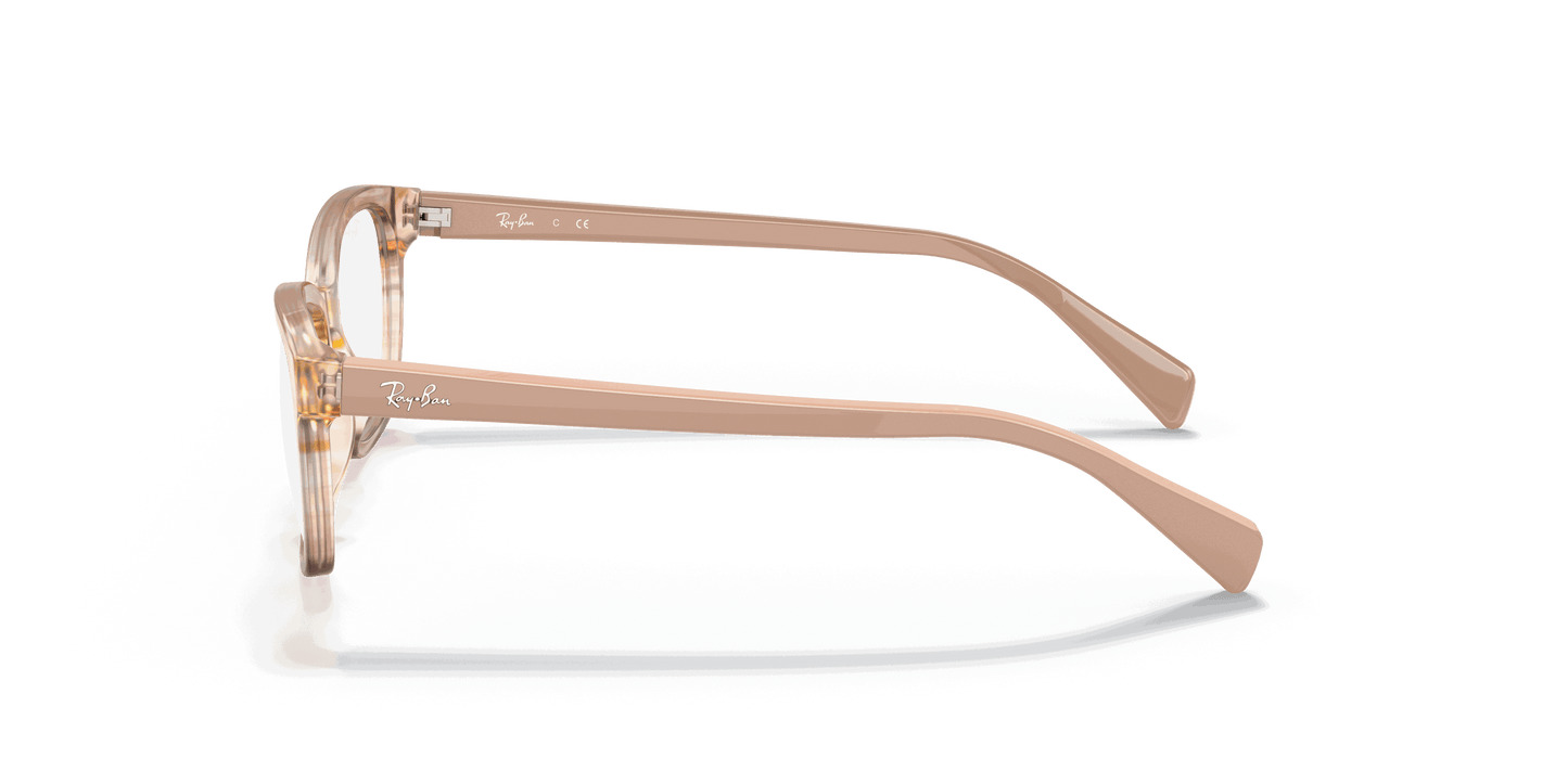 [Clear Lenses, Polished Brown Striped Multicolor Frame]