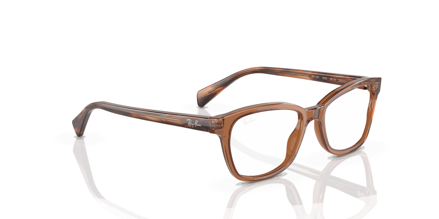 [Clear Lenses, Polished Transparent Brown Frame]