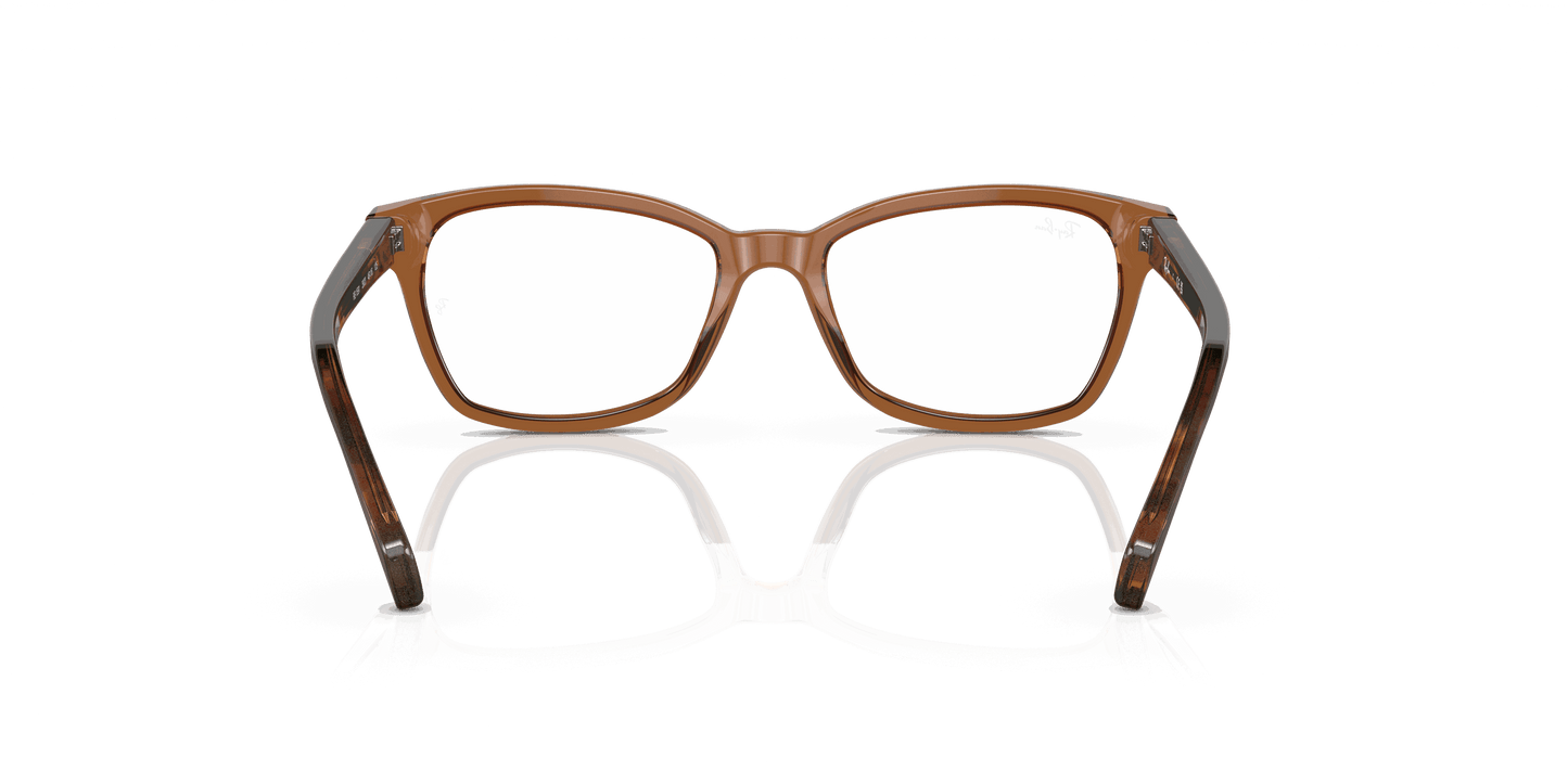 [Clear Lenses, Polished Transparent Brown Frame]