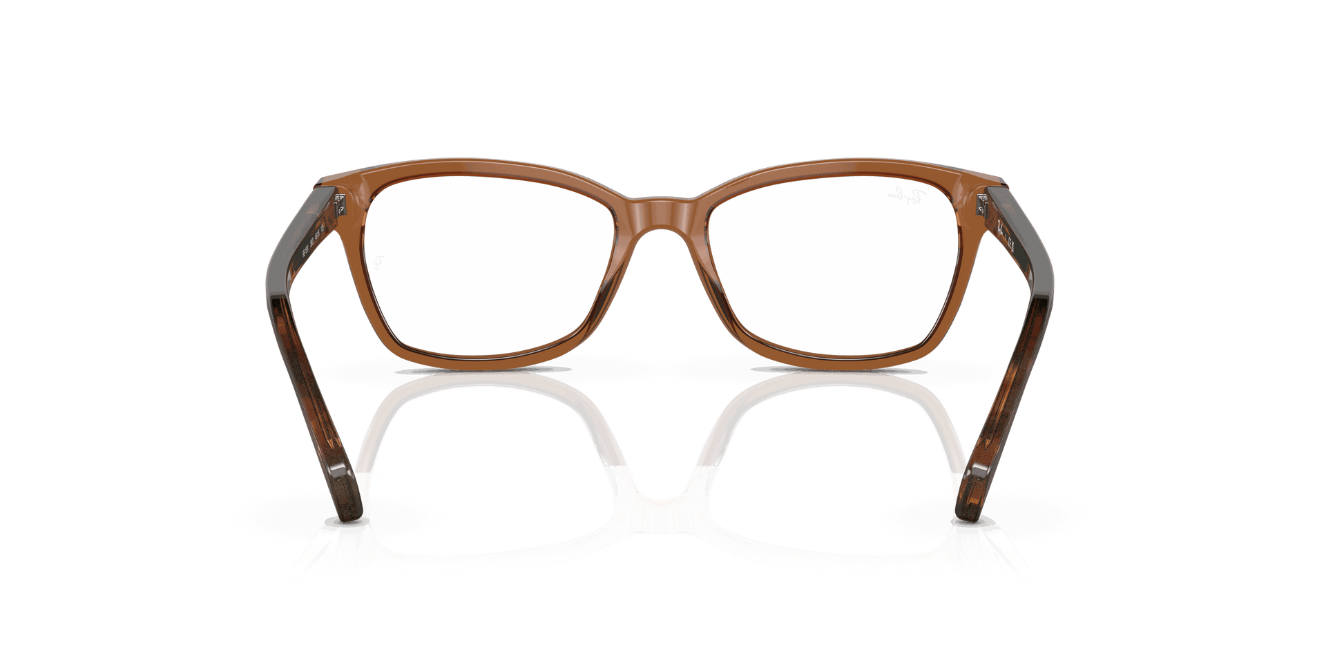 [Clear Lenses, Polished Transparent Brown Frame]