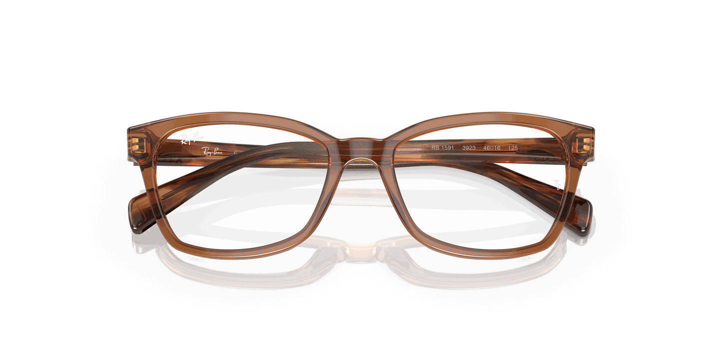 [Clear Lenses, Polished Transparent Brown Frame]