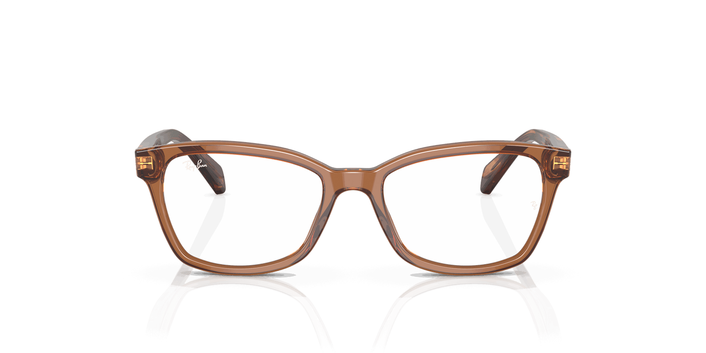 [Clear Lenses, Polished Transparent Brown Frame]