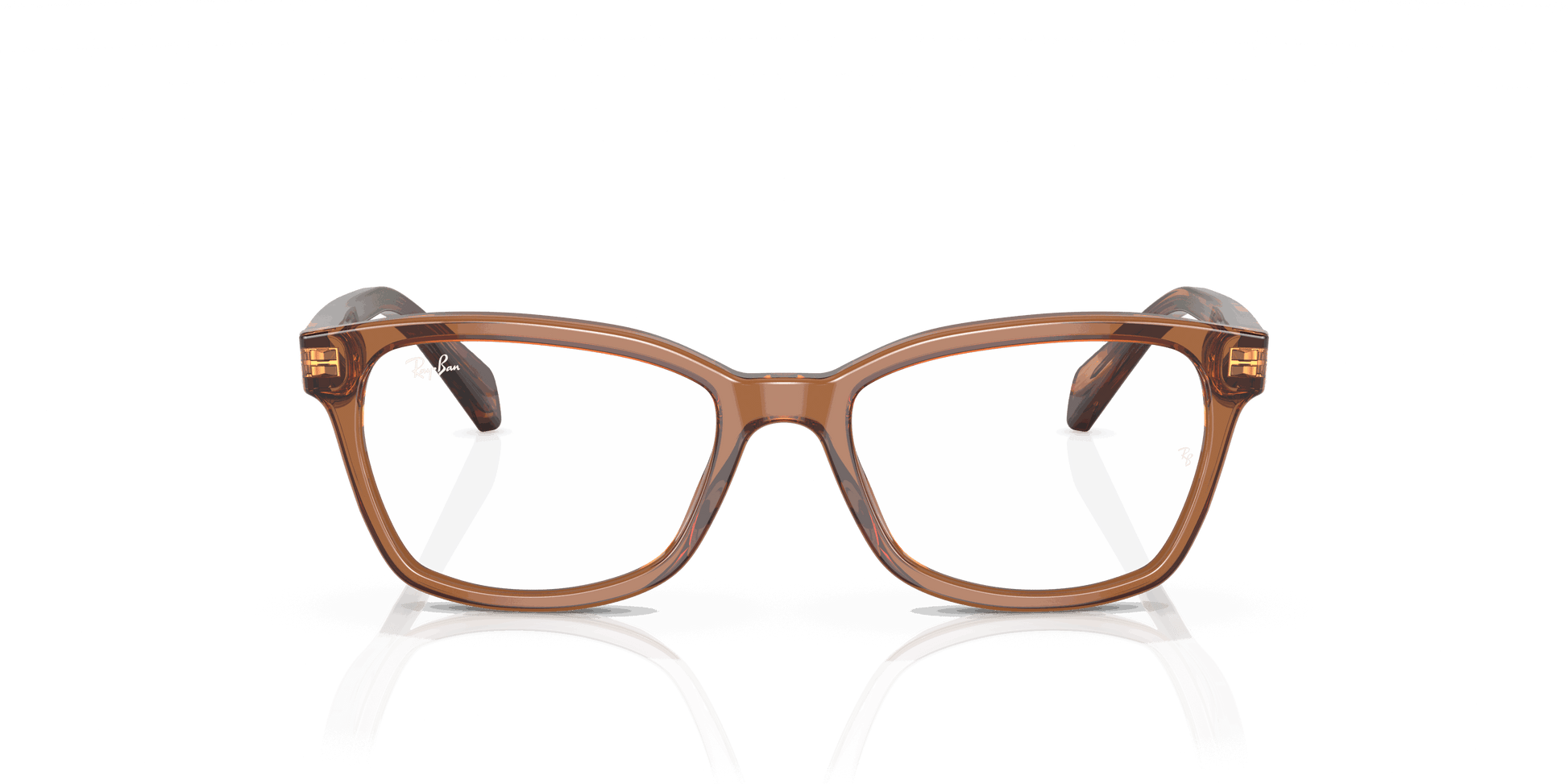 [Clear Lenses, Polished Transparent Brown Frame]