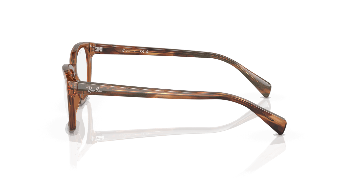 [Clear Lenses, Polished Transparent Brown Frame]