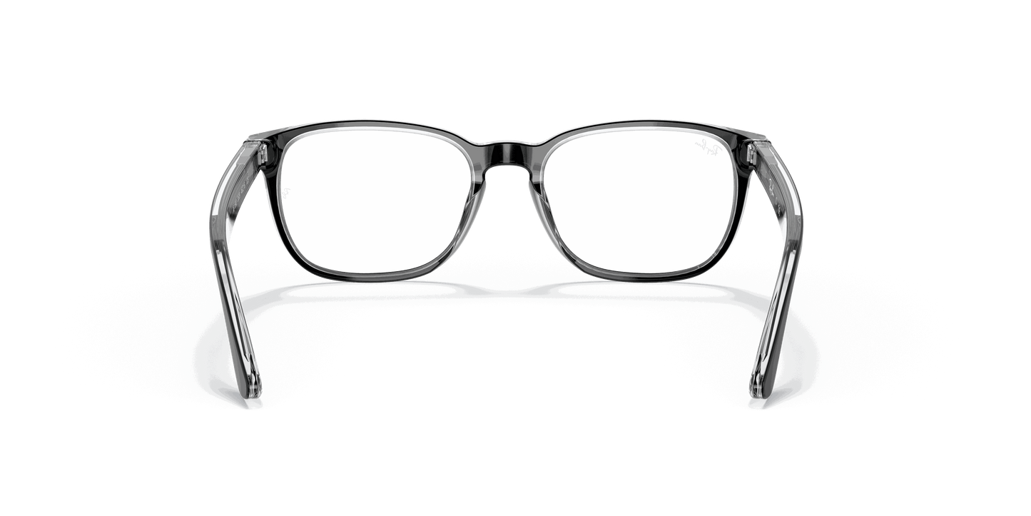 [Clear Lenses, Polished Black On Transparent Frame]
