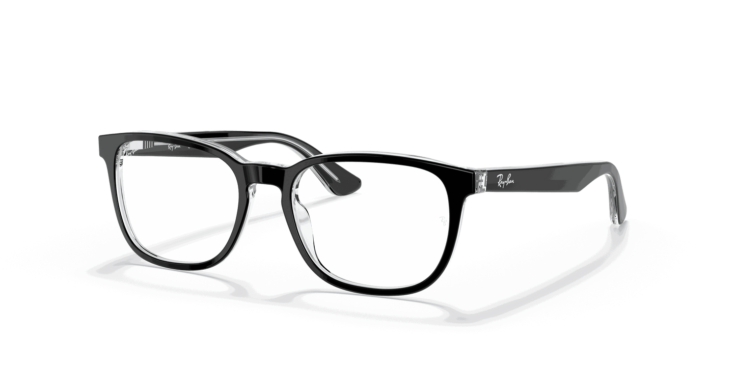 [Clear Lenses, Polished Black On Transparent Frame]