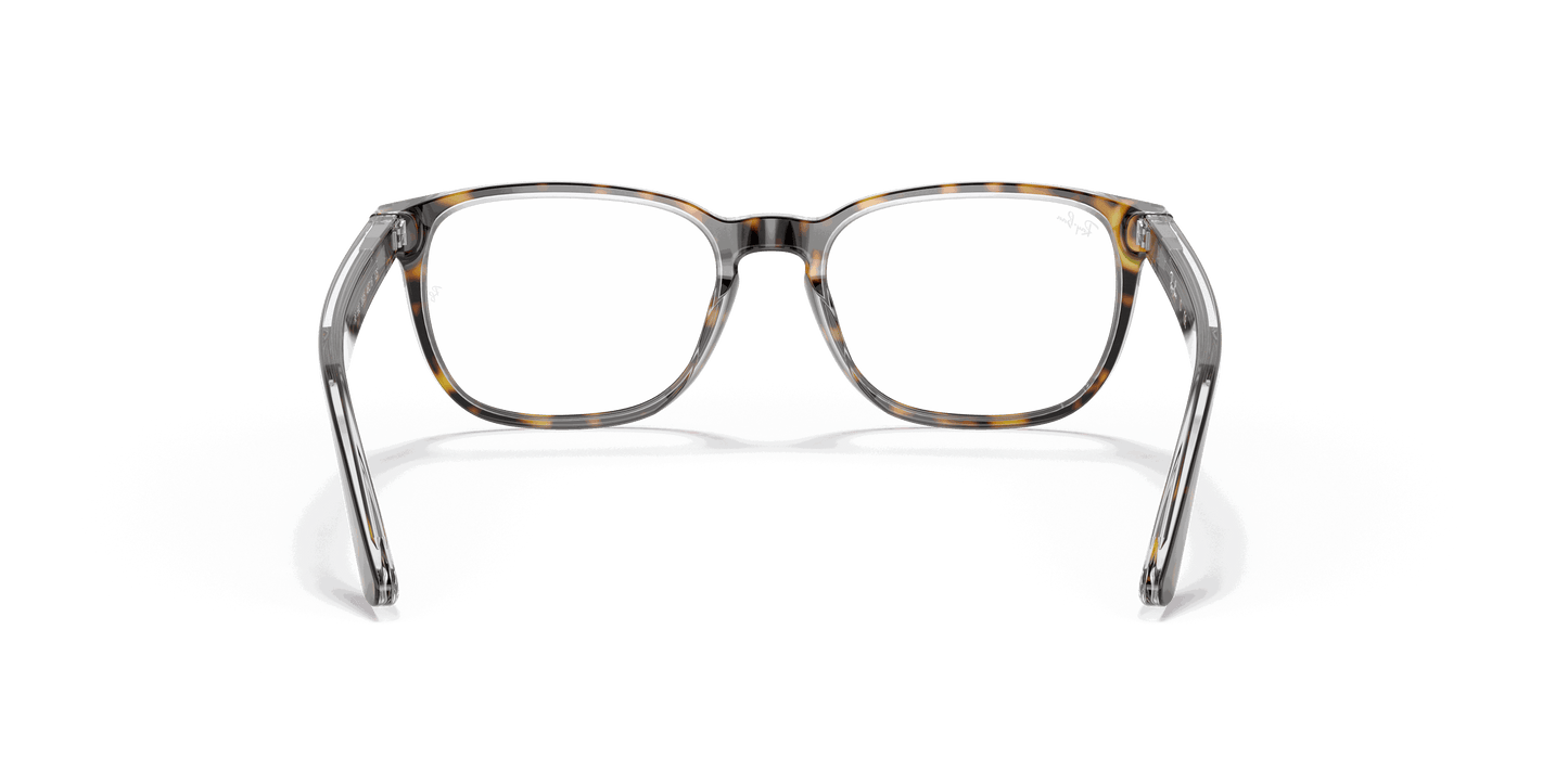 [Clear Lenses, Polished Havana On Transparent Frame]