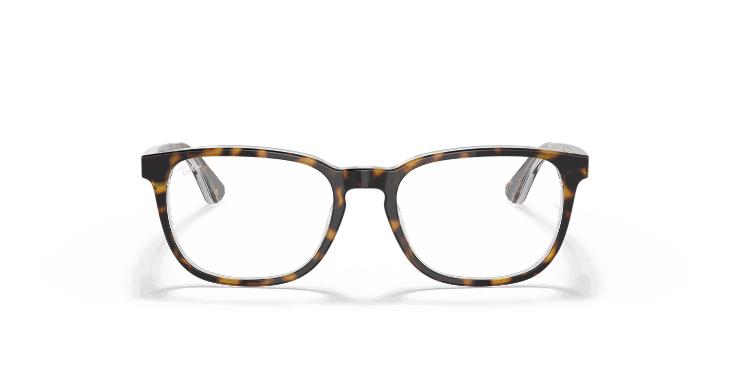 [Clear Lenses, Polished Havana On Transparent Frame]