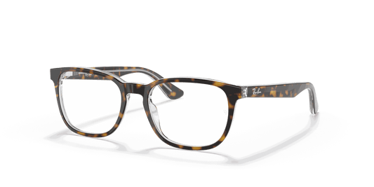 [Clear Lenses, Polished Havana On Transparent Frame]