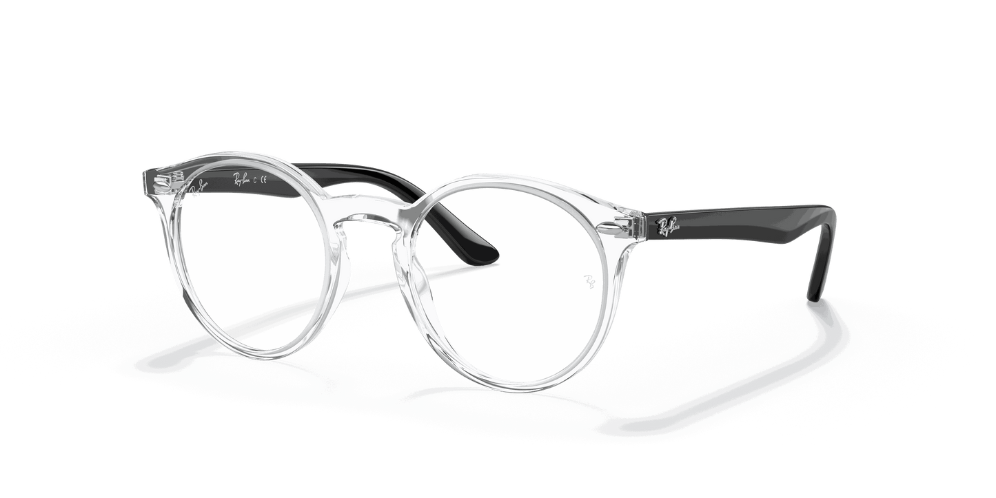 [Clear Lenses, Polished Transparent Frame]