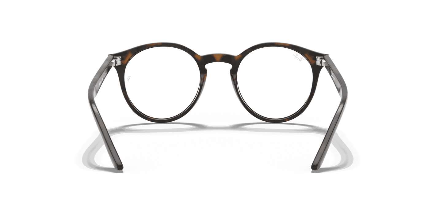 [Clear Lenses, Polished Havana Frame]