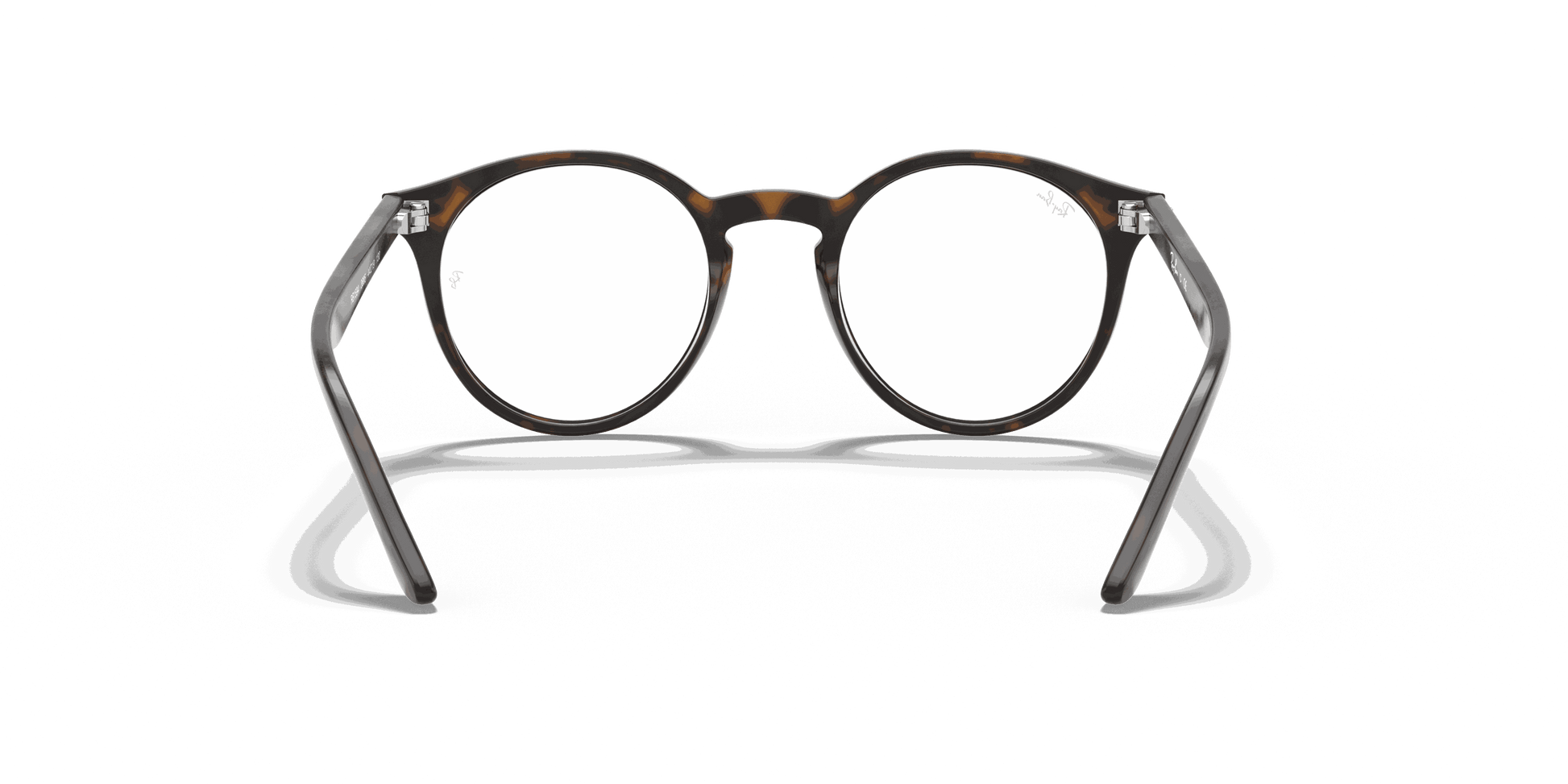 [Clear Lenses, Polished Havana Frame]