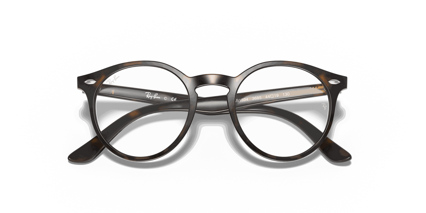 [Clear Lenses, Polished Havana Frame]