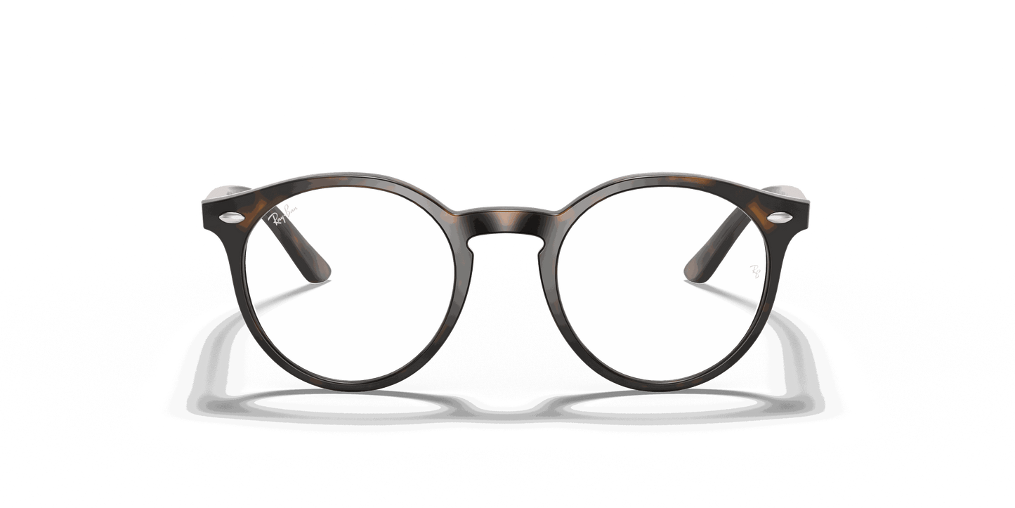 [Clear Lenses, Polished Havana Frame]